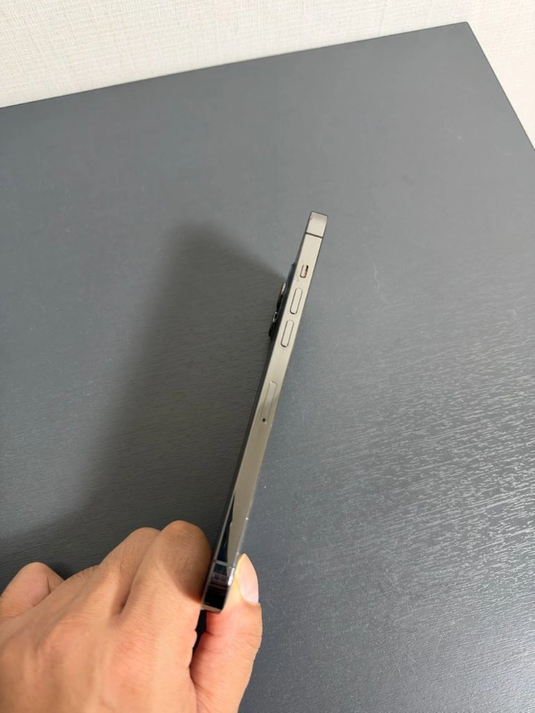 아이폰12 promax 256GB 그래파이트 이미지