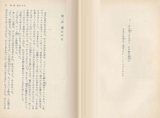 テス ― 純潔な女性(테스 – 순결한 여성) <일본출판도서 초판> (Tess of the d'Urbervilles) 이미지