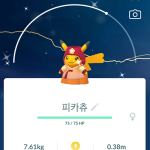 포켓몬고 한복 이로치 피카츄 판매 이미지