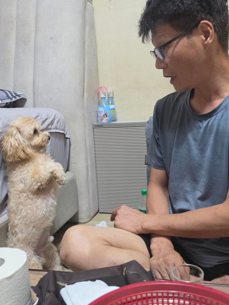 프로필 이미지