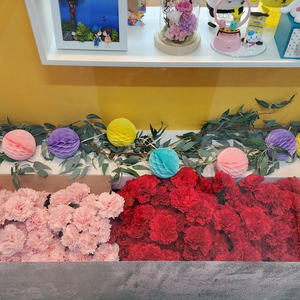꽃풍선 카네이션 조화 이미지