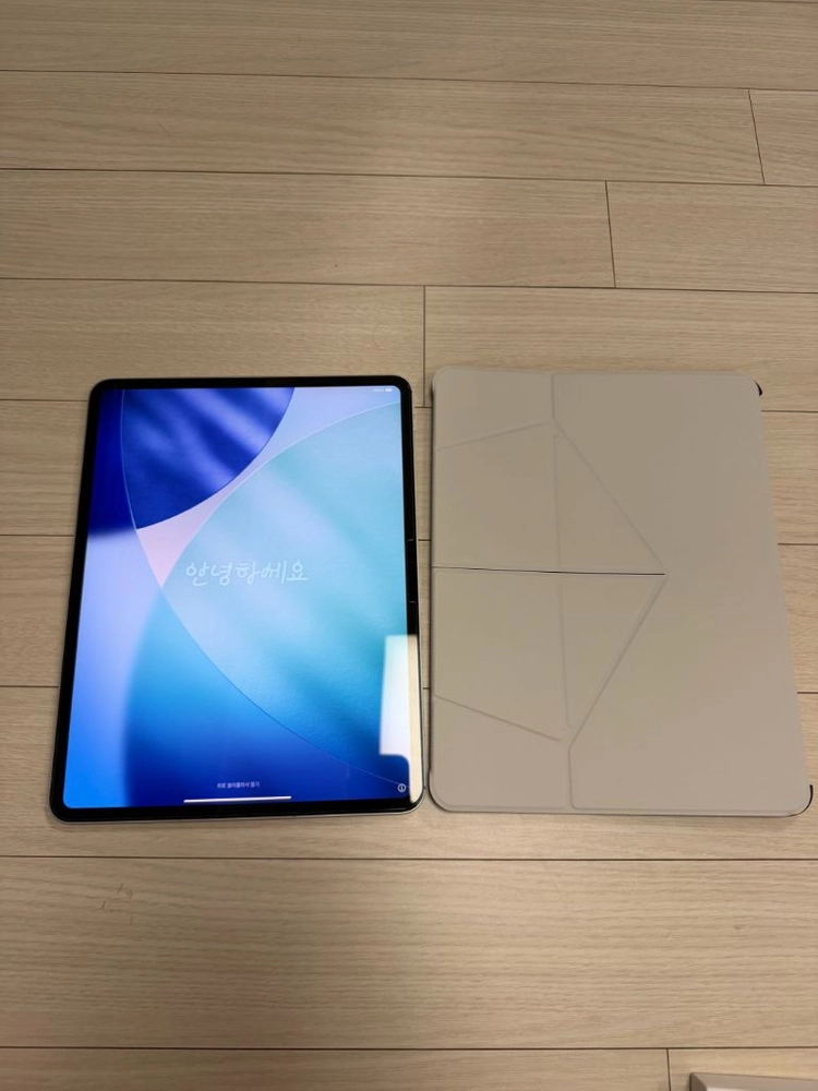 아이패드 프로 M4 13인치 1tb 셀룰러 실버 이미지