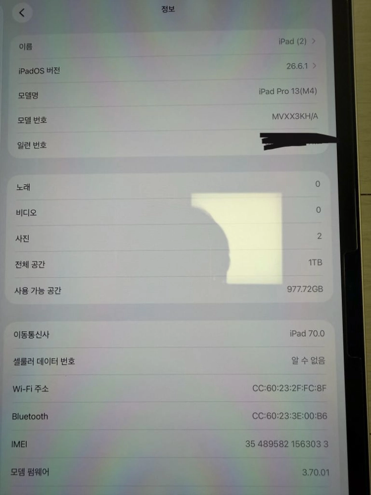 아이패드 프로 M4 13인치 1tb 셀룰러 실버 이미지