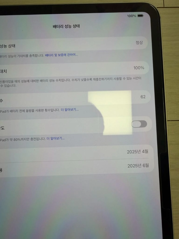 아이패드 프로 M4 13인치 1tb 셀룰러 실버 이미지