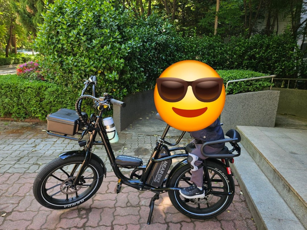 니어바이크 카고 전기자전거 PAS 전용 이미지