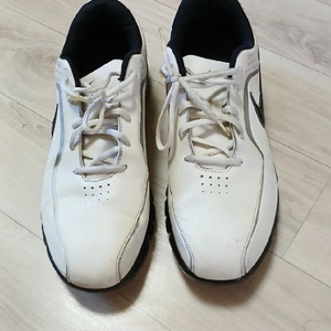 남성신발 나이키 골프화겸 운동화 280 이미지