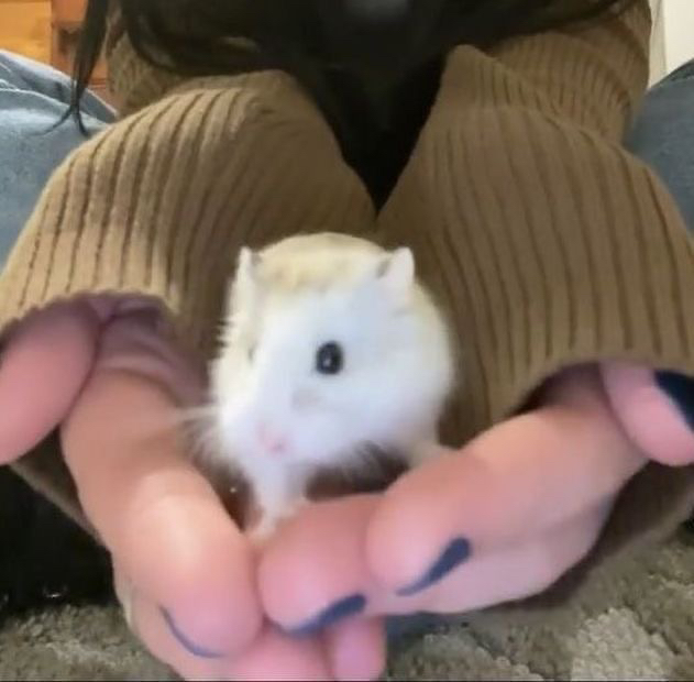프로필 이미지