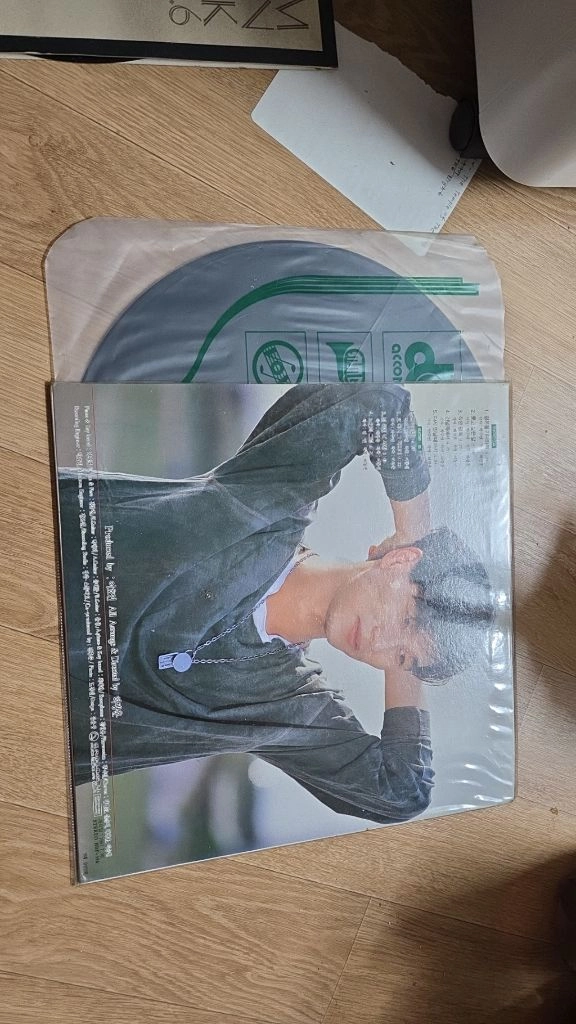 가수 LP 바이닐 레코드 이미지