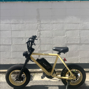 모페즈 bx 1000w 16inch 이미지
