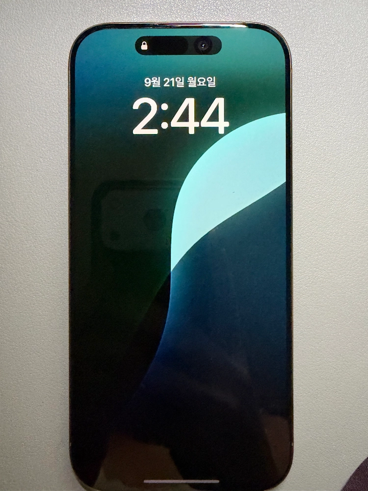 아이폰 16pro 데저트 티타늄 256GB 이미지