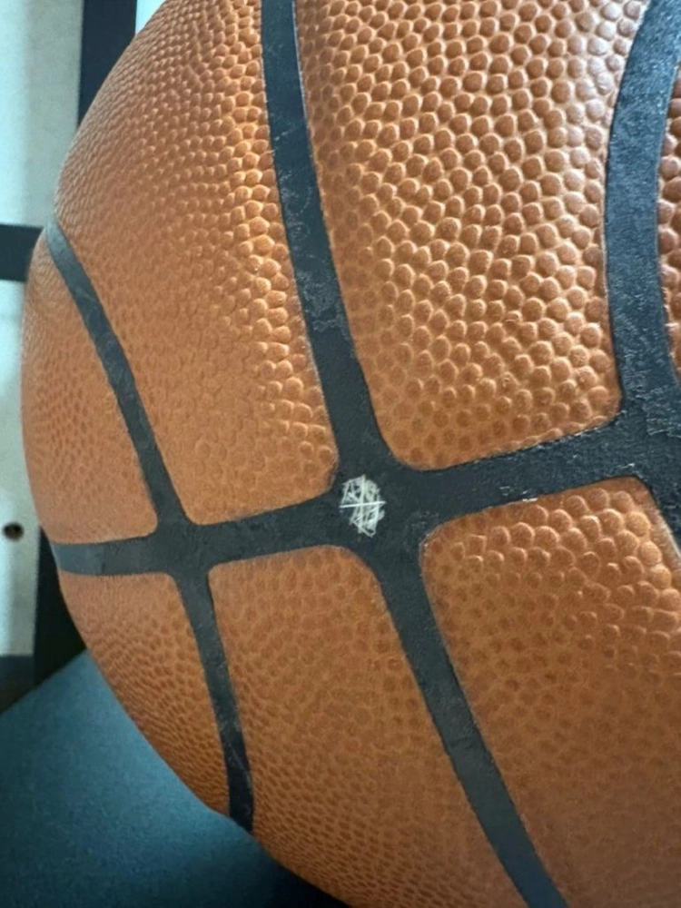 윌슨 NBA 게임볼 이미지