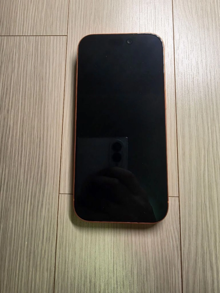 아이폰 17 프로 256GB(애플케어 28.02.08까지) - 안심되는 중고거래