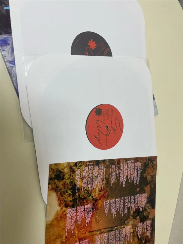 레드 핫 칠리 페퍼스 RHCP By The Way 2002 US 오리지널 2LP 이미지