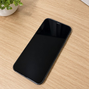 아이폰 12 pro 그래파이트<256g> 이미지