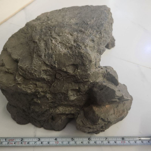 (부산 직거래만 )거북이 쉼터 대사이즈 일괄만 이미지