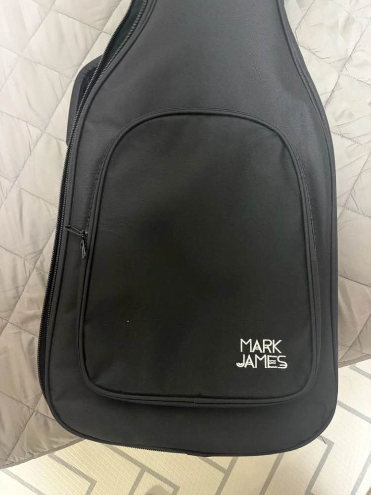 마크제임스 dk520 일렉기타 팝니다 이미지