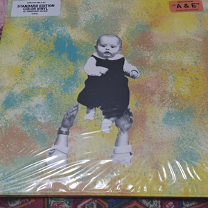 박효신 A&E 투명살몬 LP 이미지