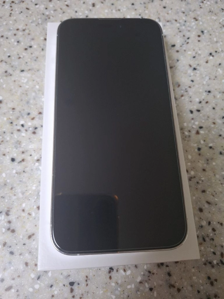 아이폰 14 프로 맥스 256GB 실버(상태 최상) 팝니다 이미지