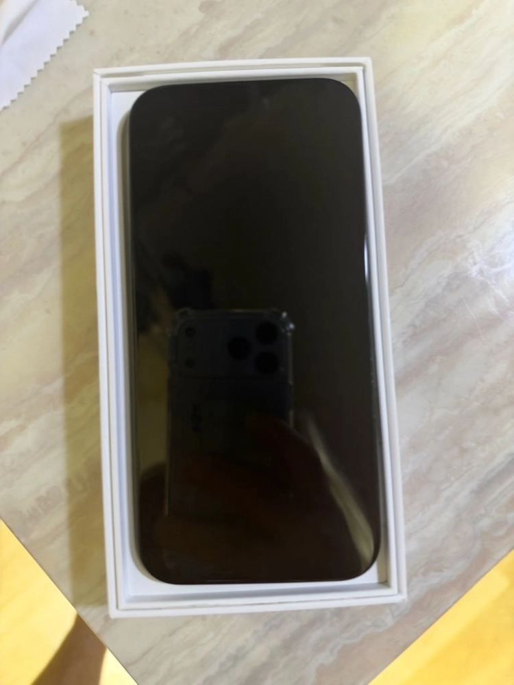 아이폰 16 블랙 프로맥스 512GB 이미지