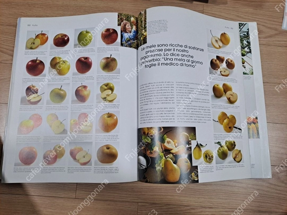 요리책 크리스티안 토이브너의 푸드 food 이미지