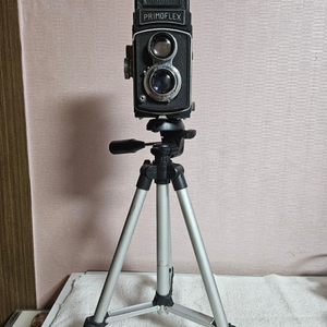 디피용 프리모플렉스 이안 카메라 이미지