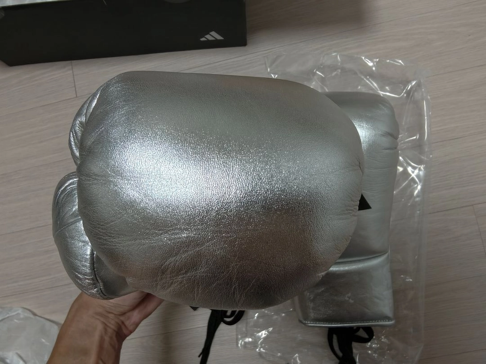 아디스타 750 말총 복싱 글러브 10온스 XL 이미지