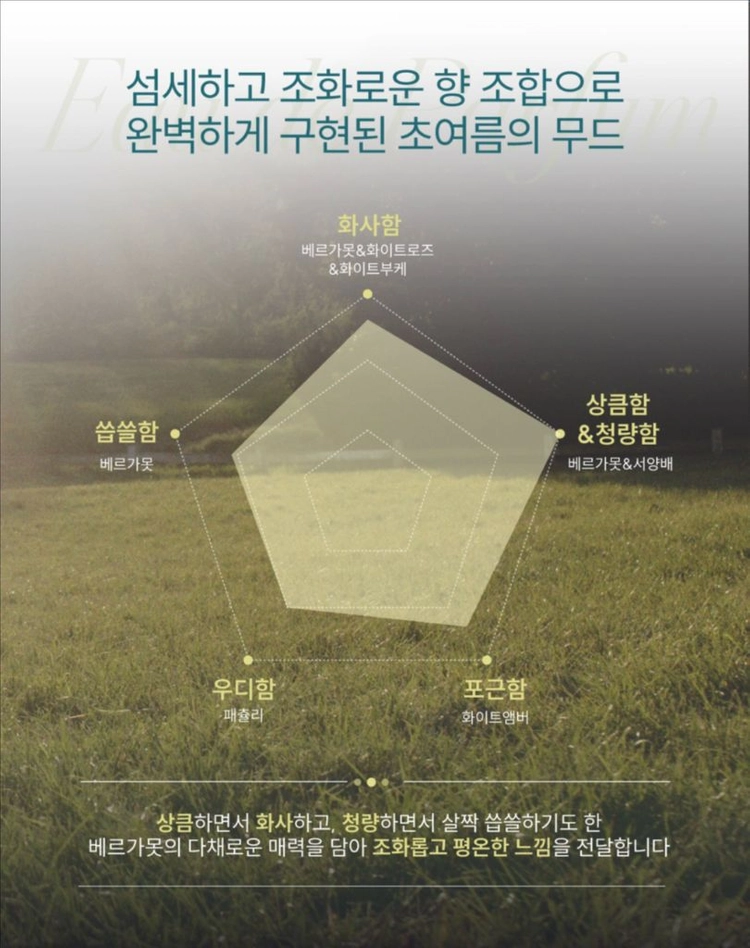 로이비 오 드 퍼퓸 베르가못 앤 화이트 로즈 18ml 이미지
