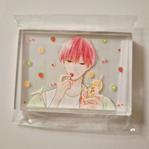 핑크와 하바네로 미니 아크릴 블록 이미지