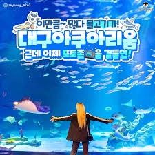 대구아쿠아리움 - 안심되는 중고거래