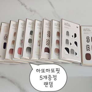 네일아트 스탬핑용 특대 이미지판 플레이트 젤네일 LED 하또하또핏 5개 증정 이미지