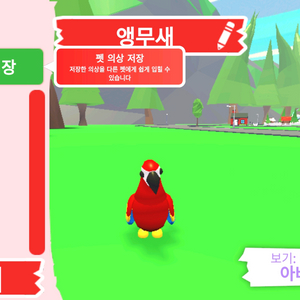입양하세요 펫 앵무새 판매합니다 이미지