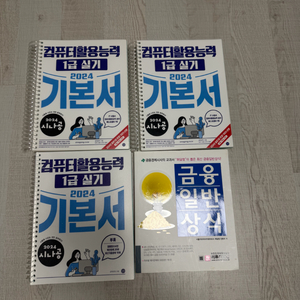 컴퓨터 활용1급실기책+금융일반상식 책 이미지