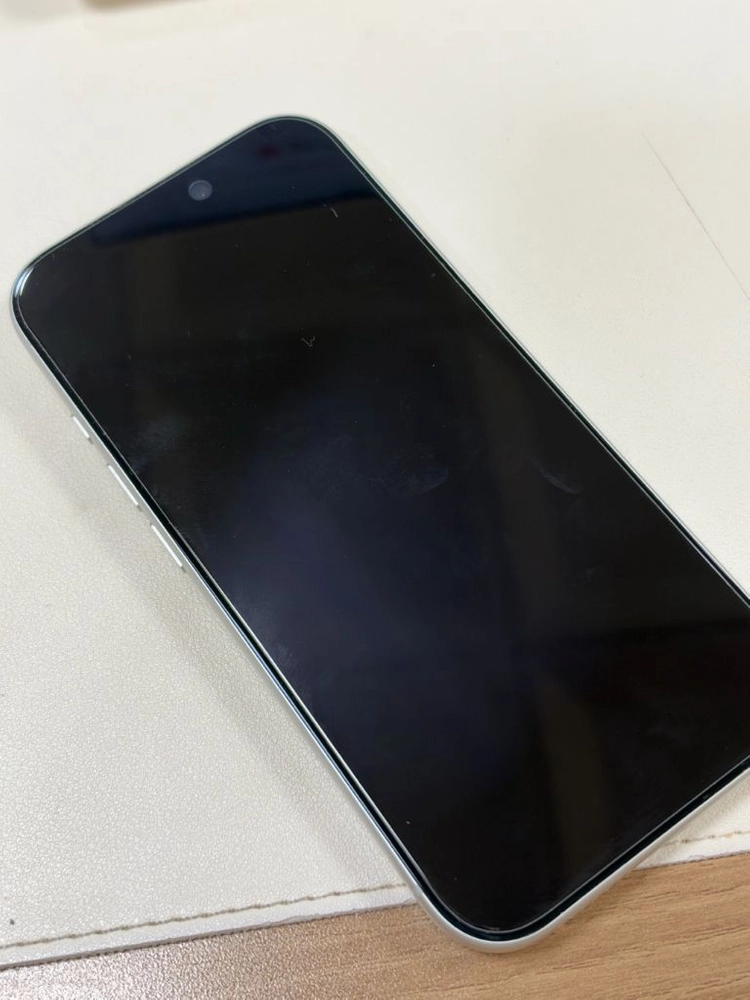 아이폰17프로 실버 256gb 이미지