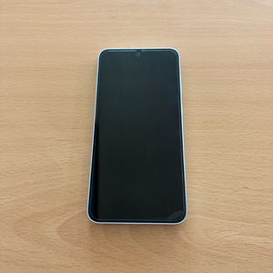갤럭시S25플러스 아이스블루 256GB 이미지