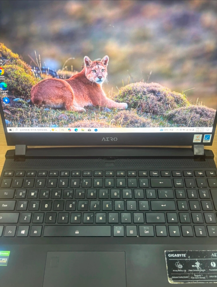 기가바이트 AERO 게이밍노트북 RTX3080 /32G/ SSD 1TB 이미지