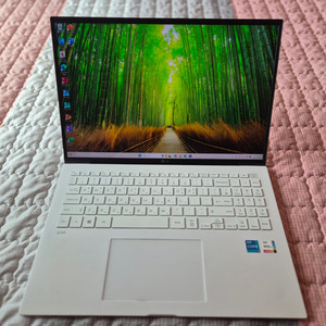LG그램 노트북 16ZD90P, i5 11세대,16인치,8/256G 이미지