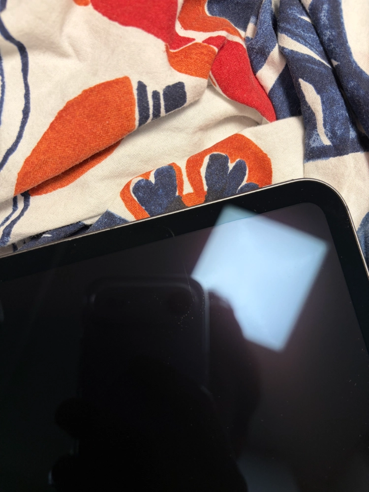 아이패드 프로 M5 11 셀룰러 256 블랙 - 안심되는 중고거래