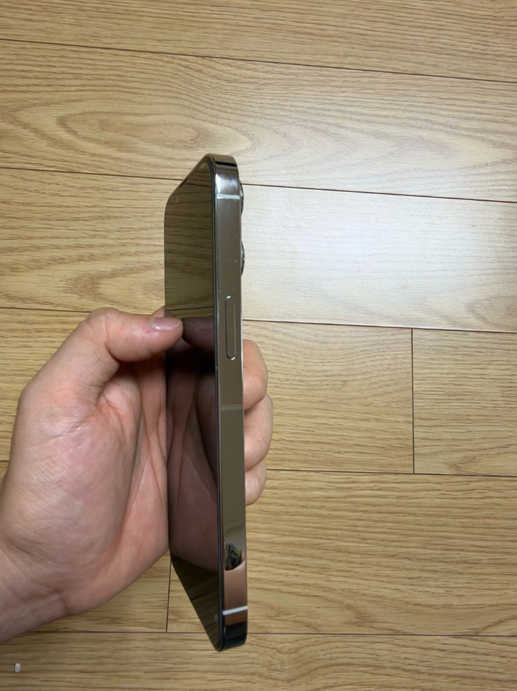 아이폰13프로 실버 256GB 이미지