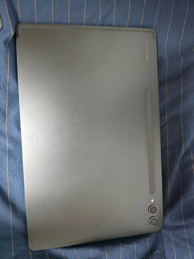 갤럭시탭 S9+ 256gb wifi 이미지