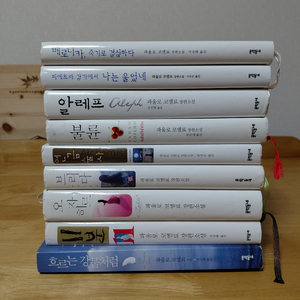 파울로코엘료 연금술사 베로니카 알레프 등9종 이미지