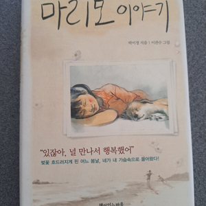 소설책 마리모 이야기 이미지