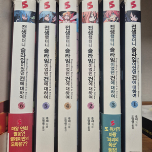 전생슬 라이트노벨 이미지