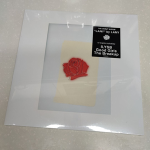 LANY - LANY 레이니 데뷔 앨범 (2LP) 이미지