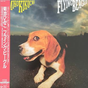 Himiko Kikuch (키쿠치 히미코) - Flying Beagle (LP) 이미지