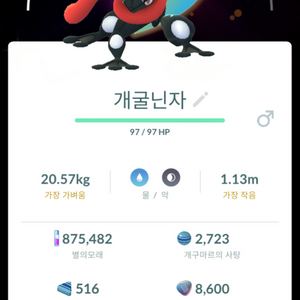 포켓몬고 개굴닌자 배경 이로치 팝니다 이미지