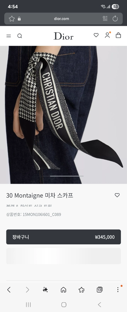디올 몽테인 미차 스카프 이미지