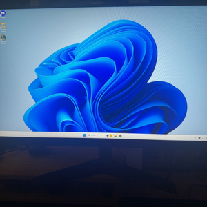 LG 울트라기어 24GS60F 이미지