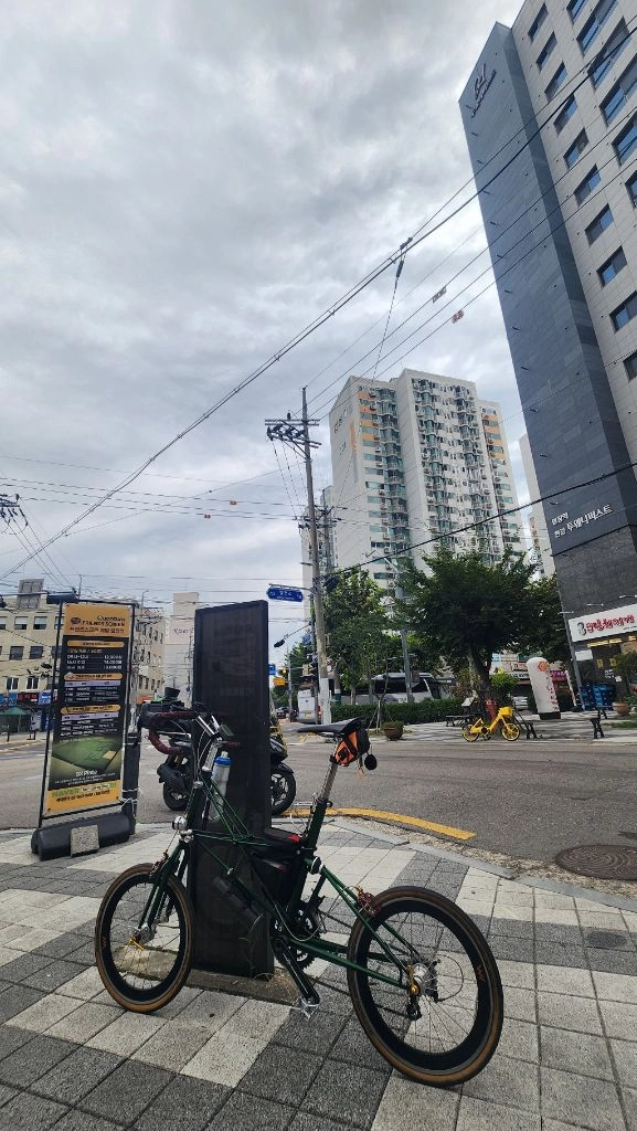 몰튼tsr22 이미지
