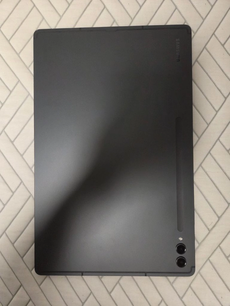 갤럭시탭 s9 울트라 wifi 256GB 이미지
