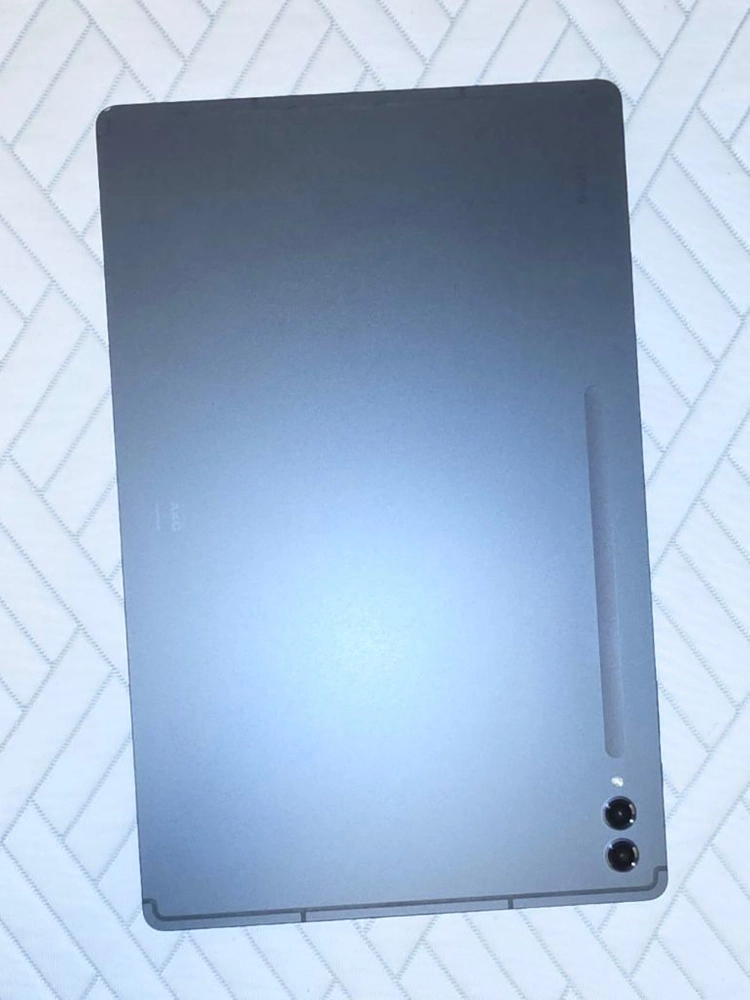 갤럭시탭 s9 울트라 wifi 256GB 이미지